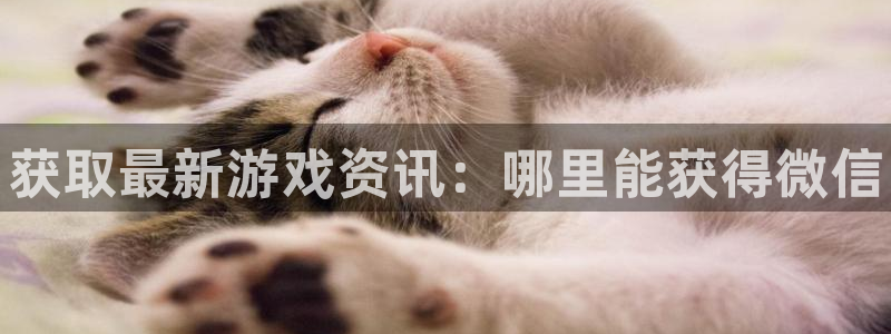 赢咖娱乐官方注册登录：获取最新游戏资讯：哪里能获得微信