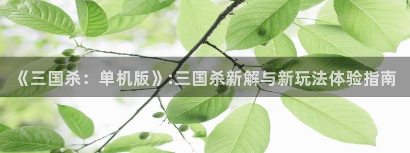 赢咖娱乐升级5994月：《三国杀：单机版》:三国杀新解与新玩