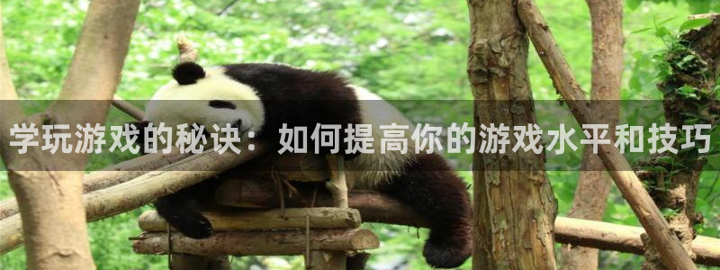 赢咖娱乐平台登录入口：学玩游戏的秘诀：如何提高你的游戏水平和