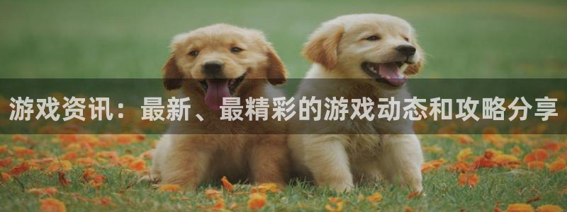 赢咖娱乐登录地址：游戏资讯：最新、最精彩的游戏动态和攻略分享