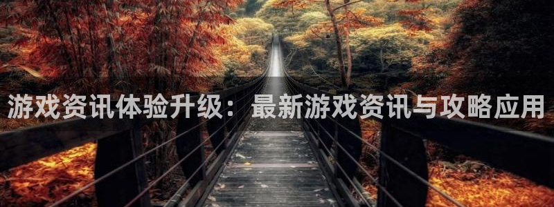 赢咖娱乐网页登录入口官网：游戏资讯体验升级：最新游戏资讯与攻