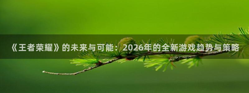 赢咖娱乐注册网站：《王者荣耀》的未来与可能：2026年的全新