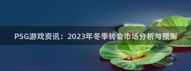 赢咖娱乐网址官网：PSG游戏资讯：2023年冬季转会市场分析