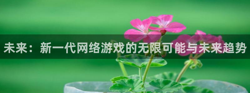 赢咖娱乐平台官方网站：未来：新一代网络游戏的无限可能与未来趋