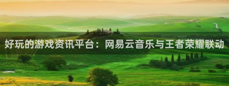 赢咖娱乐app下载|下载地址：好玩的游戏资讯平台：网易云音乐